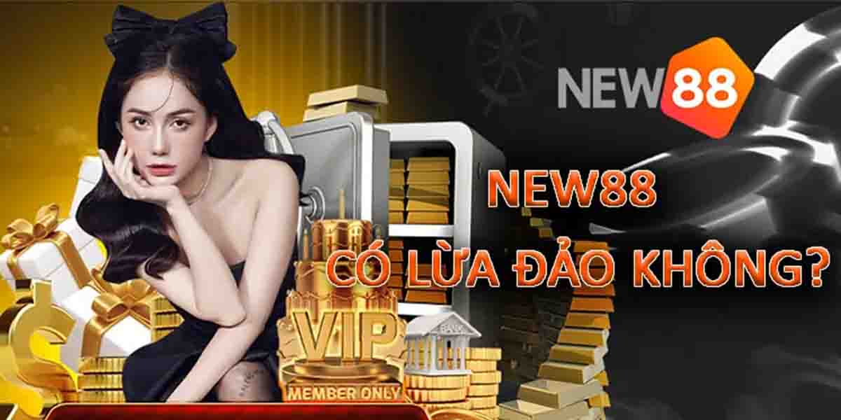 Phân tích thông tin và bằng chứng liên quan nhà cái New88